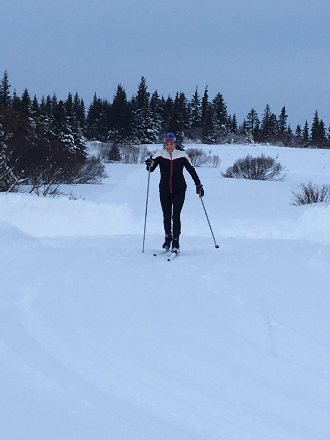xcountry skiing homer